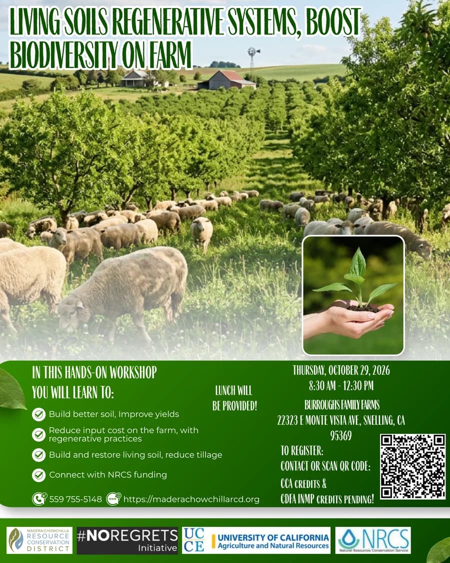 Living Soils: Regenerative Systems, Boost Biodiversity on Farm