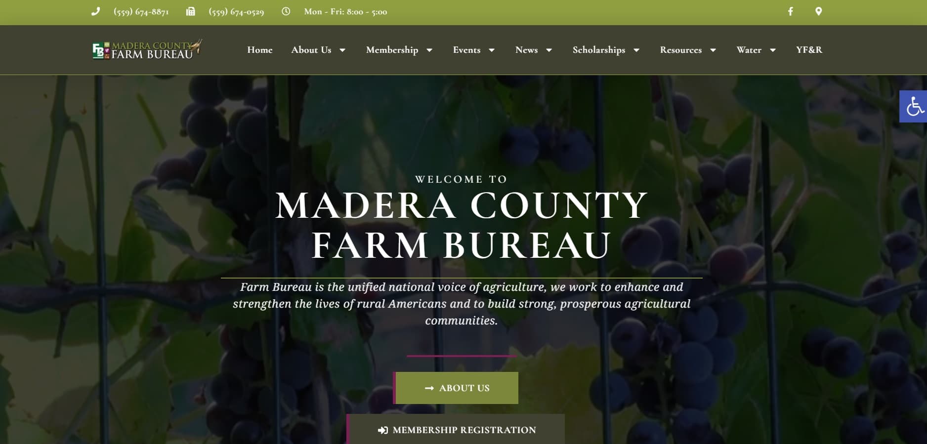 Annual Scholarship Event — Margaritas at the Mahils'