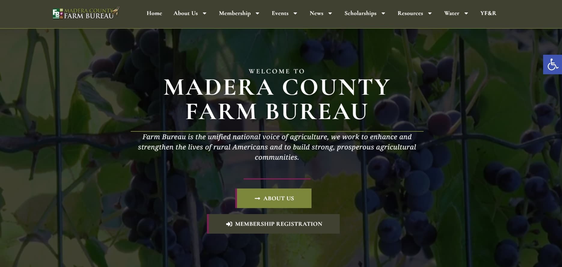 Tree & Vine Harvest Safety