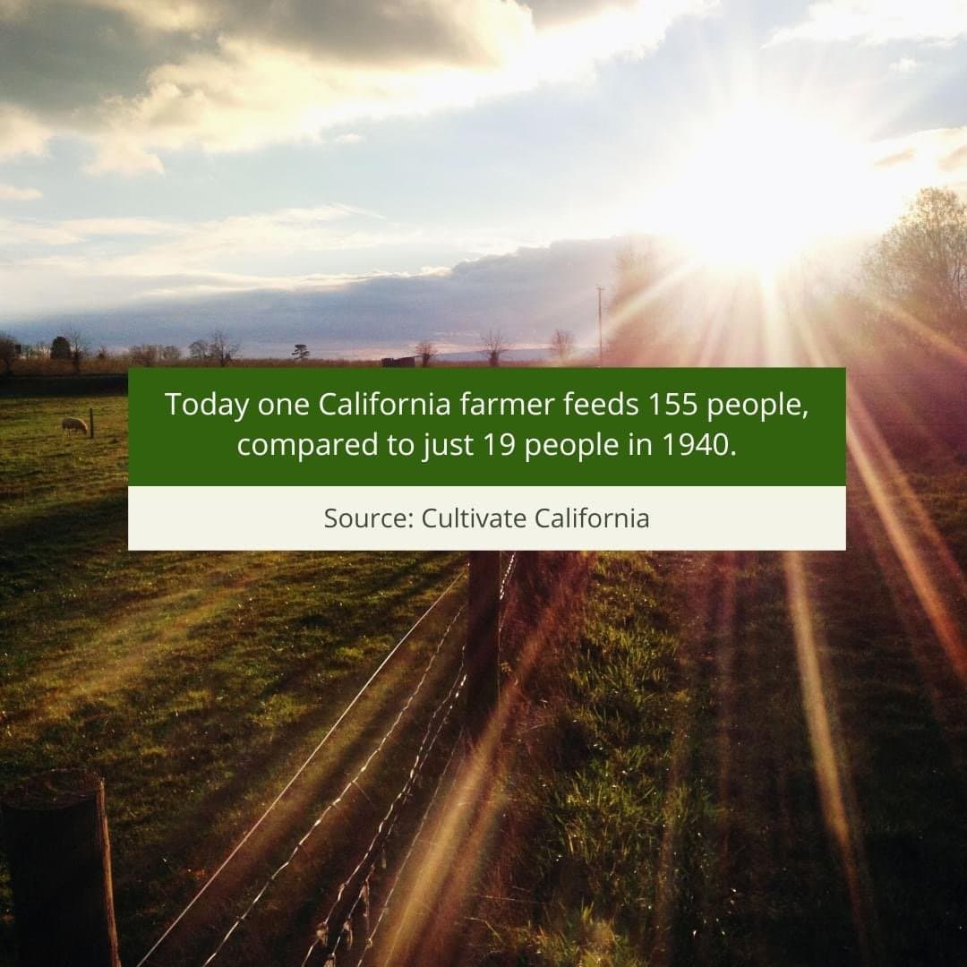 Agricultural celebration