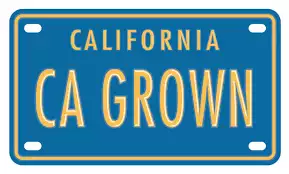 CA Grown